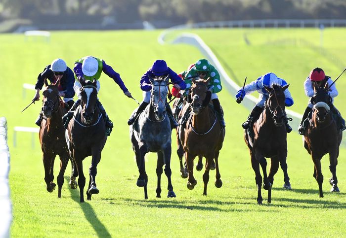 Expert Dancer and Andrew Slattery (blue and white)