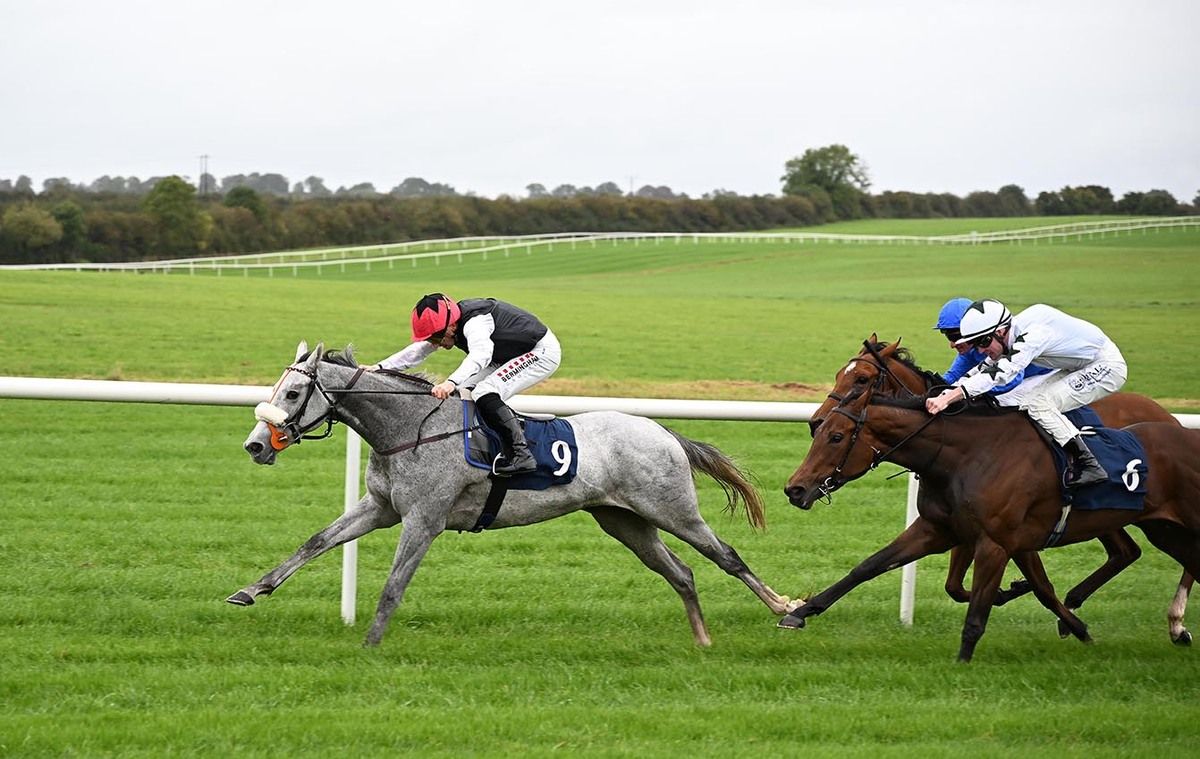 Silver Kiss and Chris Hayes win for owners Moyglare Stud and trainer Dermot Weld 