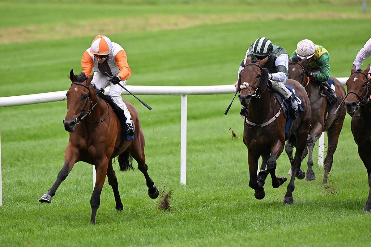 King Christoph and Andrew Slattery win for owners Sean Helen Greaney and trainer Andrew Slattery 
