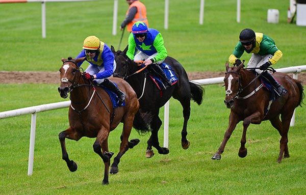 Asthelightdeclines wins in Tramore
