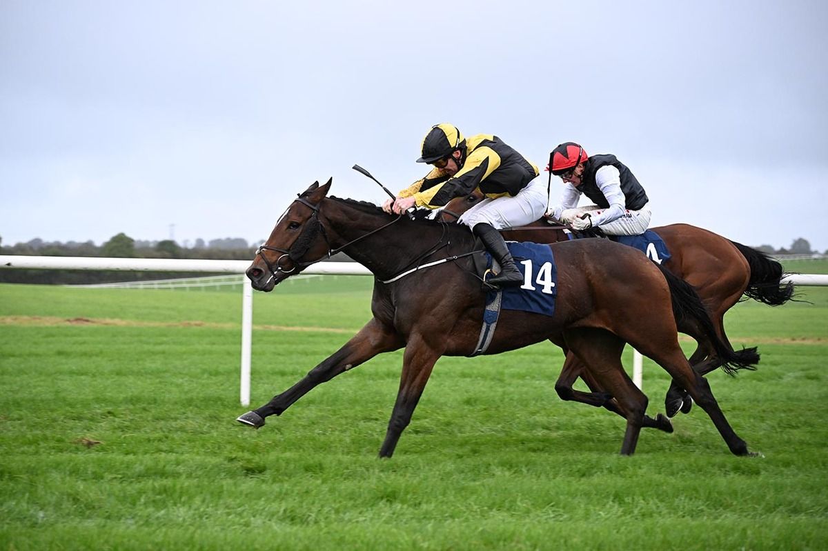Blissful Bonita near was the winner