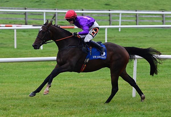 Long Goodbye wins at Tramore