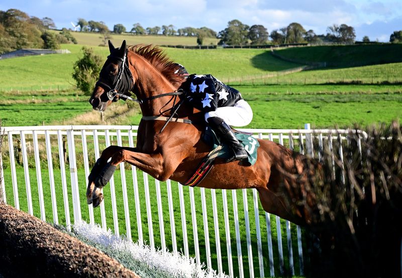 Iamagetaway and Danny Mullins in full flow