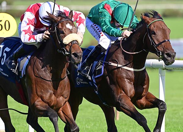 Zelani and Chris Hayes (right) battle back to beat Tax Me Later 