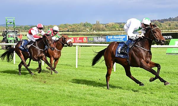 Pink Venom and Ben Coen win 