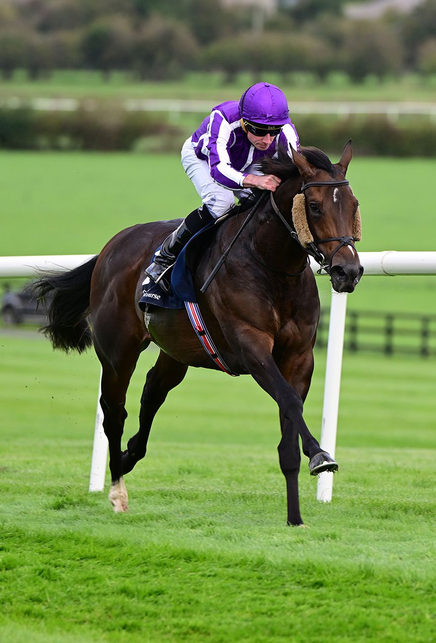 Bengal Tiger and Ryan Moore 