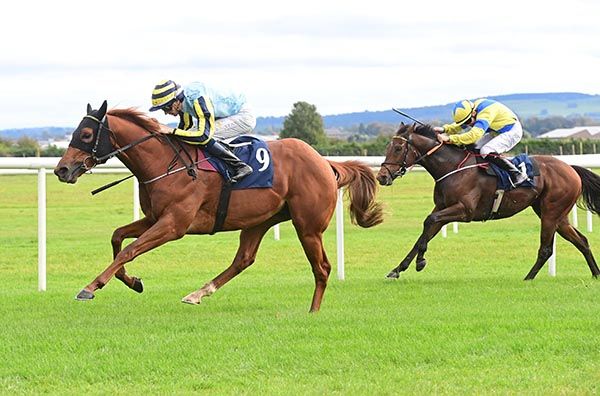 Contrary To Law approaches the winning post