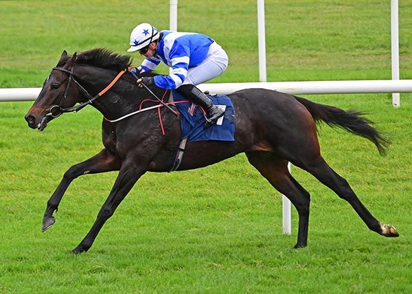 Ryefield Dasher and Nicola Burns win well