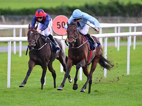 Pillar Of Hope (left) is another winner for Paddy McGettigan