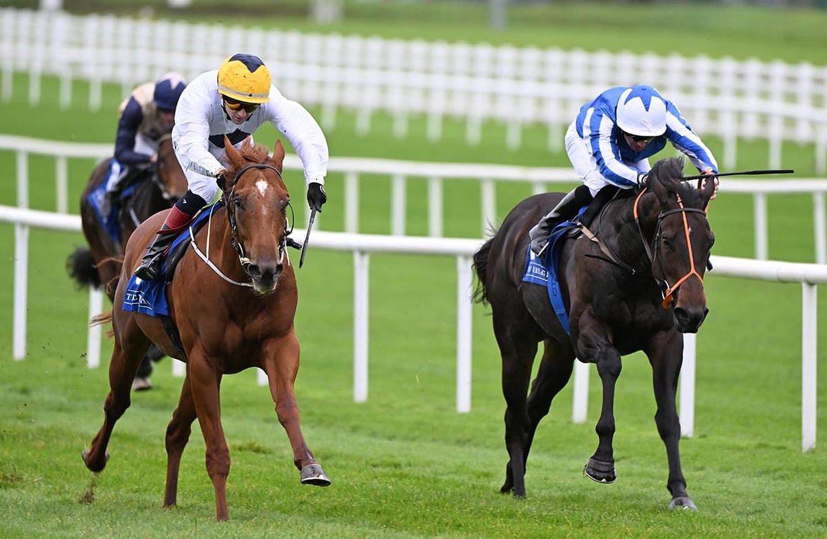 Jabreen, left, beats Champion Basma 