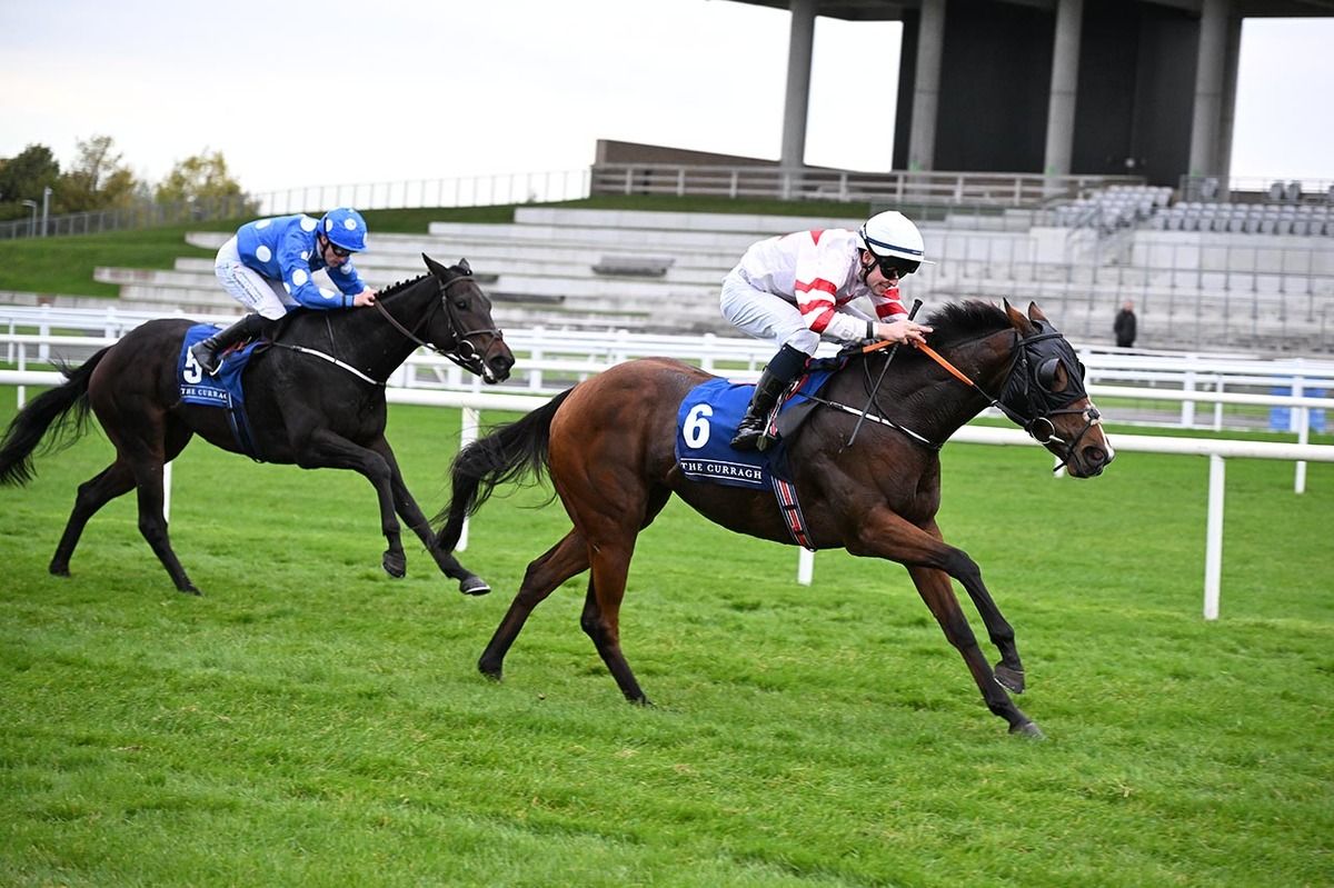 Givehertilxmas and Jack Kearney approach the winning post