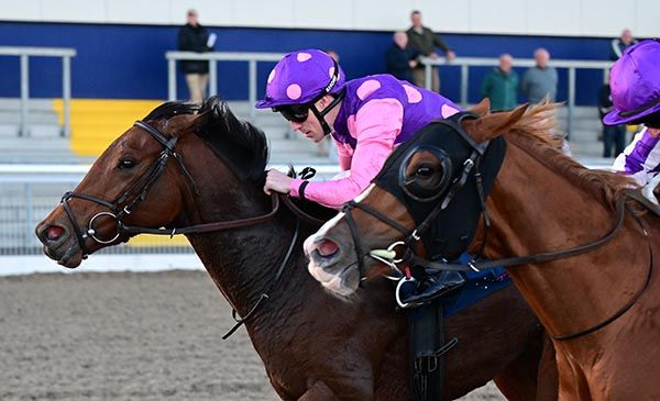 Heart Of You and Billy Lee edge ahead