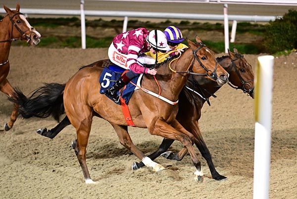 Jazzit and James Ryan (nearest)