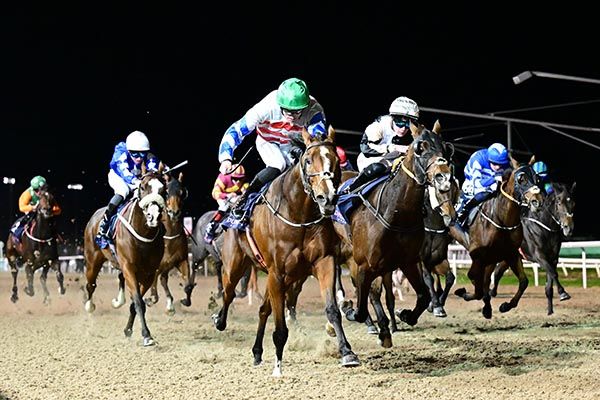 Enchanted Lady and Billy Lee(centre)