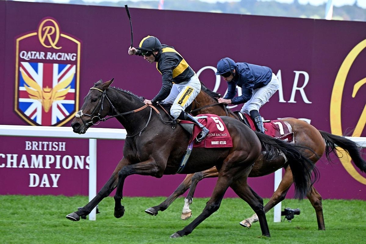 Mount Atlas and PJ McDonald defeat Queenstown (Ryan Moore) 