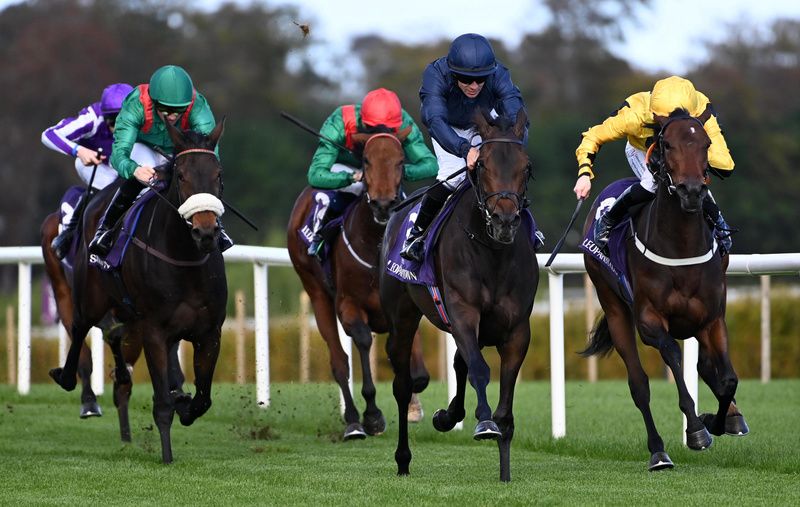 Speckles (navy) beats Duchessofaquitaine (yellow)