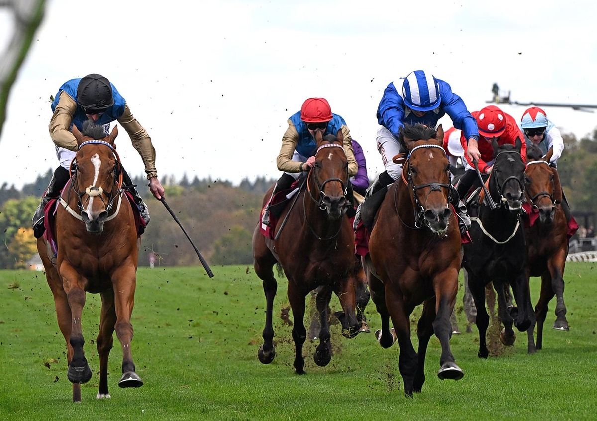 Almeraq and Tom Marquand (striped cap) get up close home to beat Paborus (left)