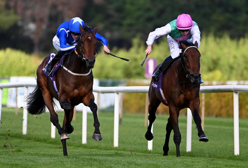Louis De Foix and Billy Lee 