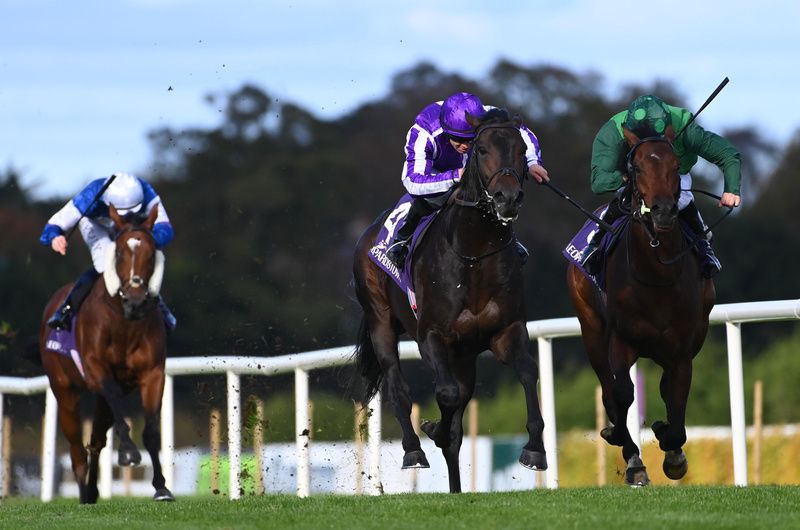 Wall Street (purple) sees off Zarak Pasha (green) 