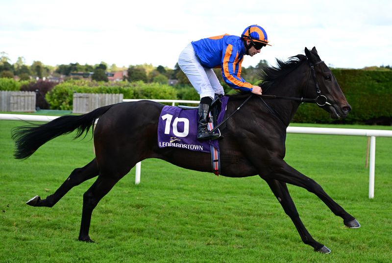 Snowing and Wayne Lordan 