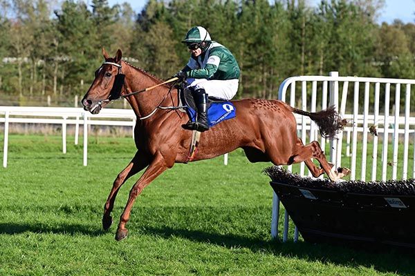 Political Stance and Tom Kelly jump the last