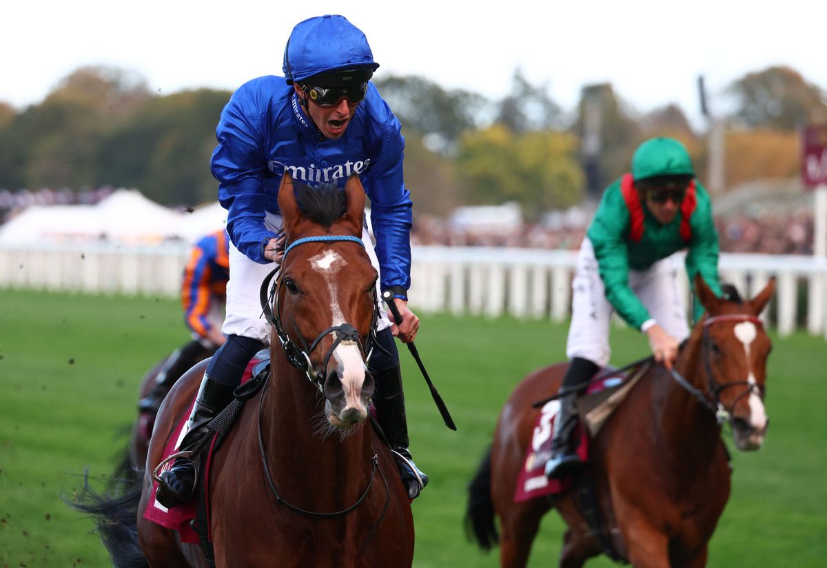 Ascot 17-October-2026Ombudsman and William Buick win for owners Godolphin and trainers John & Thady Gosden from Calandagan.Healy Racing