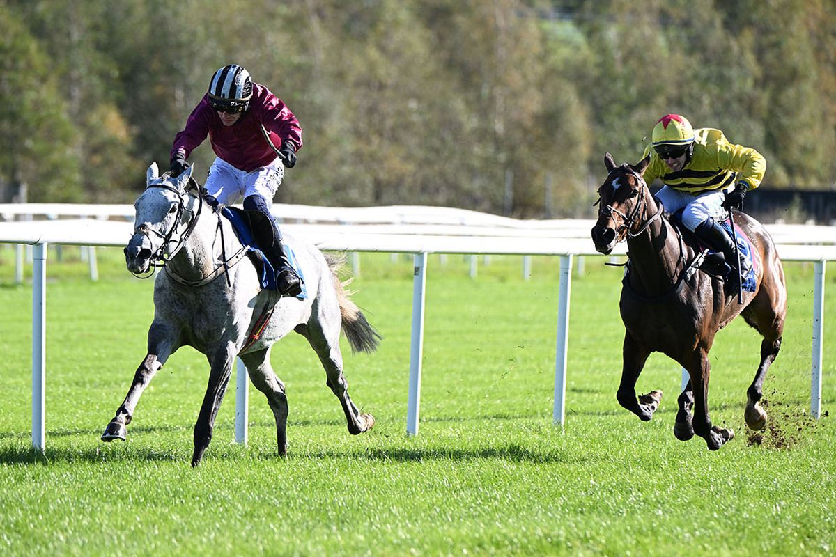 Kimi De Mai and Paul Townend win for owner Siobhan Madden and trainer Willie Mullins 