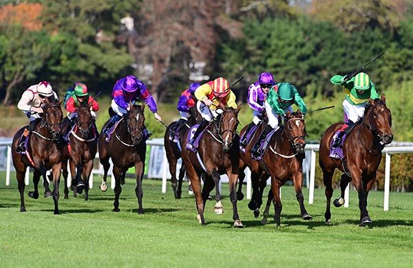 Vico Road and Shane Foley centre red  yellow win the Leopardstown Golf Padel And Range Maiden 