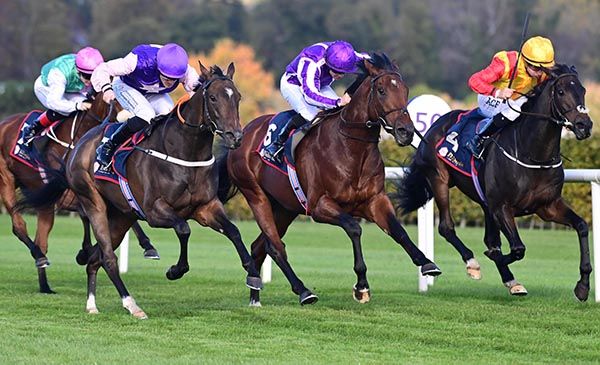  Leopardstown King Cuan and Billy Lee left win the Bahrain Turf Club Knockaire Stakes Listed 