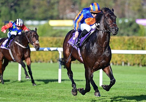 Come What May and Wayne Lordan win the Trigo Stakes Listed 