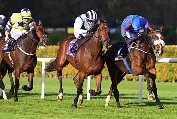 Thyer and Dylan Browne McMonagle right win the Christmas Festival Tickets On Sale Now Handicap 