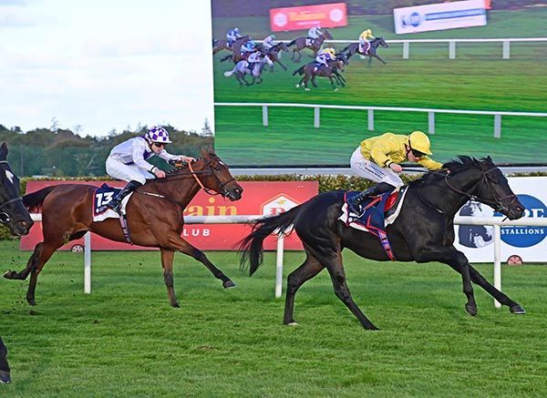 Truth Be Told and Billy Lee win the Bahrain Turf Club October Handicap 