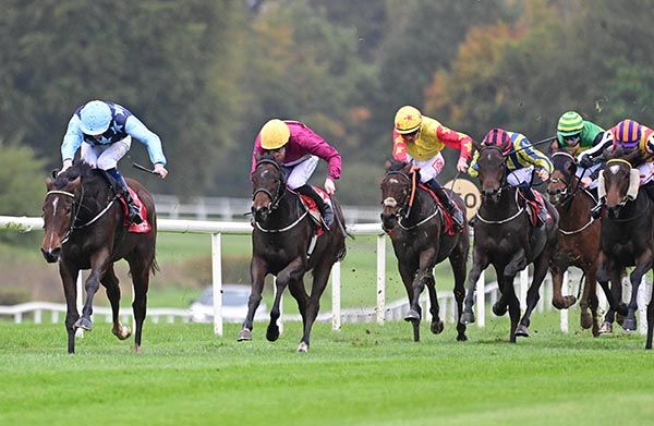 Littlepacer and Ben Coen strike for home to win for Johnny Murtagh at Gowran Park 