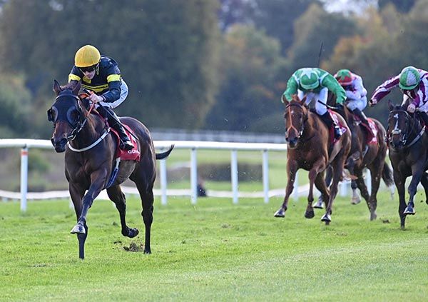 Churchill Bond and Billy Lee race clear to win at Gowran Park