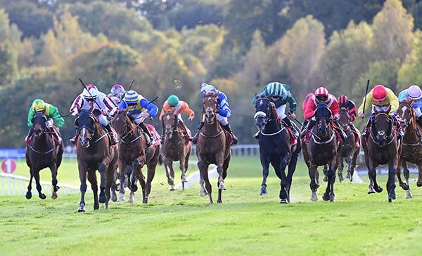 Cosmic Funk and Conor Cusack (left) lead the way to win at Gowran Park