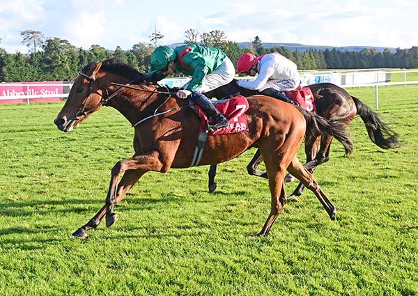 Shanala gives Ben Coen and Johnny Murtagh as second winner at Gowran Park
