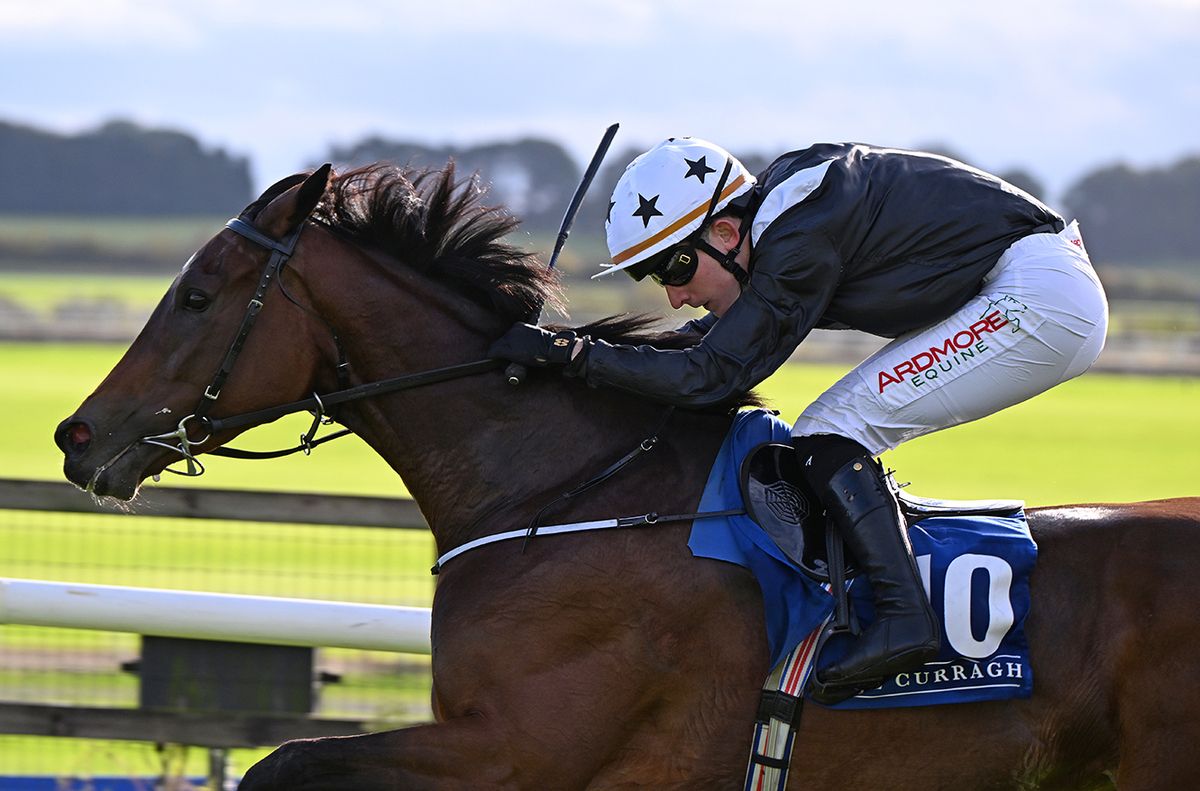 John Gleeson and Contorsion win for owner Sue Ann Foley and trainer Joseph O Brien at the Curragh