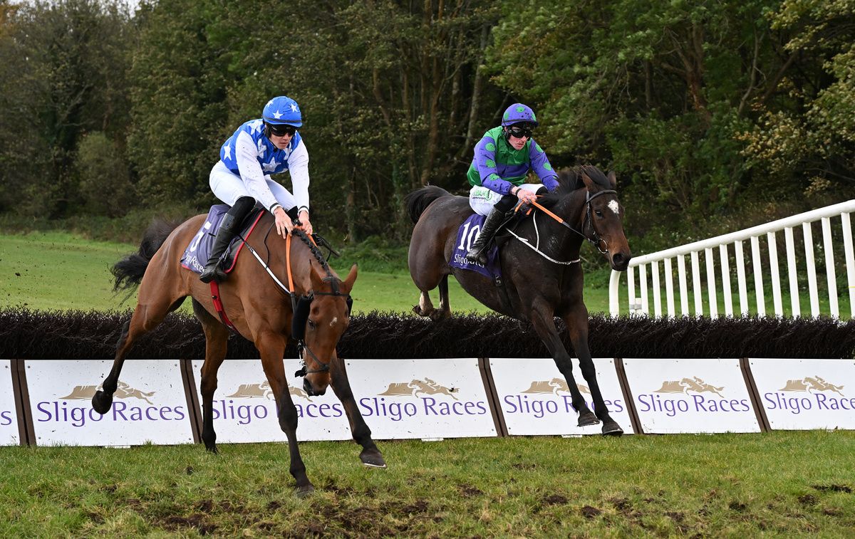 Tonightsagoodnight (right) is slicker than Gunnery Sergeant at the last 