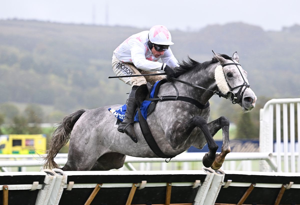 North Shore and Harry Skelton