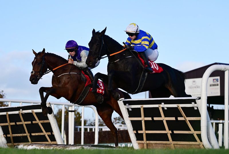 El Bilo (far side) pictured with stablemate Well Friend