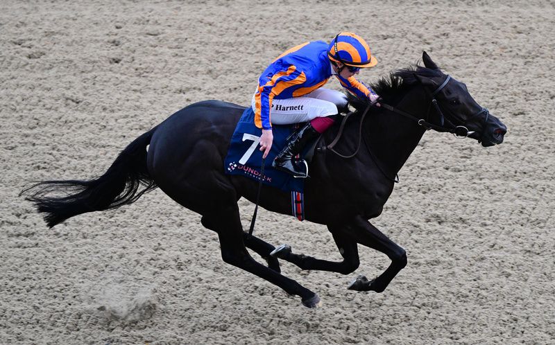 Little Miss Muffet and Paddy Harnett win for trainer Donnacha O Brien at Dundalk this afternoon
