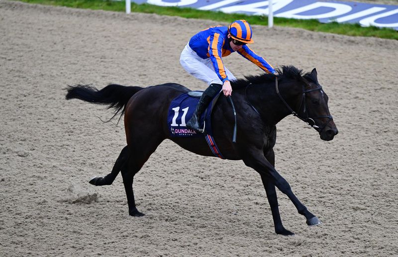 Tantardini and Jack Cleary win for trainer Aidan O'Brien at Dundalk