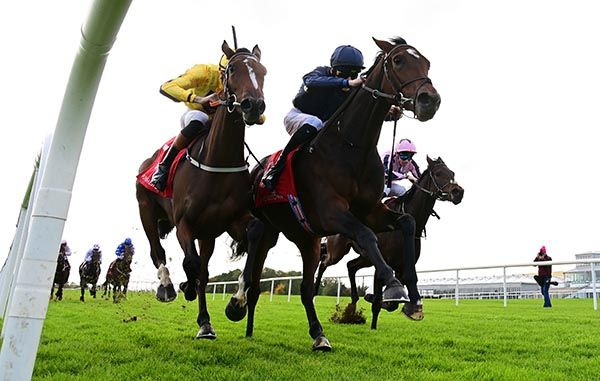 Petticoat Bay (right) beats San Juan De Lope
