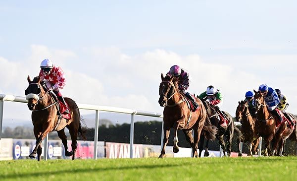 Tai Tam Bay leads them home under Paddy Harnett