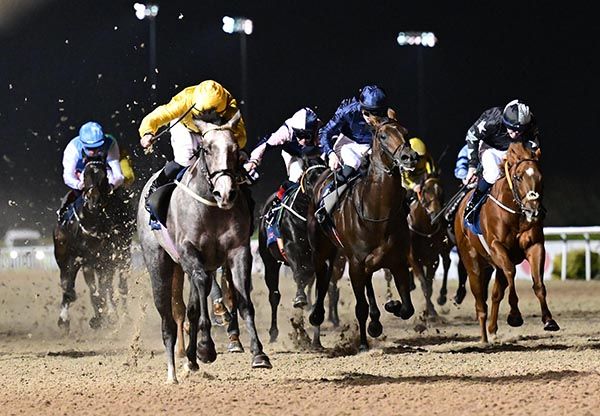 Southern Boulevard and Gary Carroll take the opener at Dundalk
