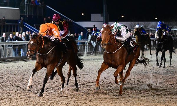 Go Out (orange) just holds on from Prada's Wish
