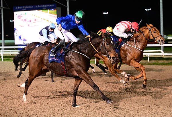 Not Just Any Eagle wins by a head from Sunrush