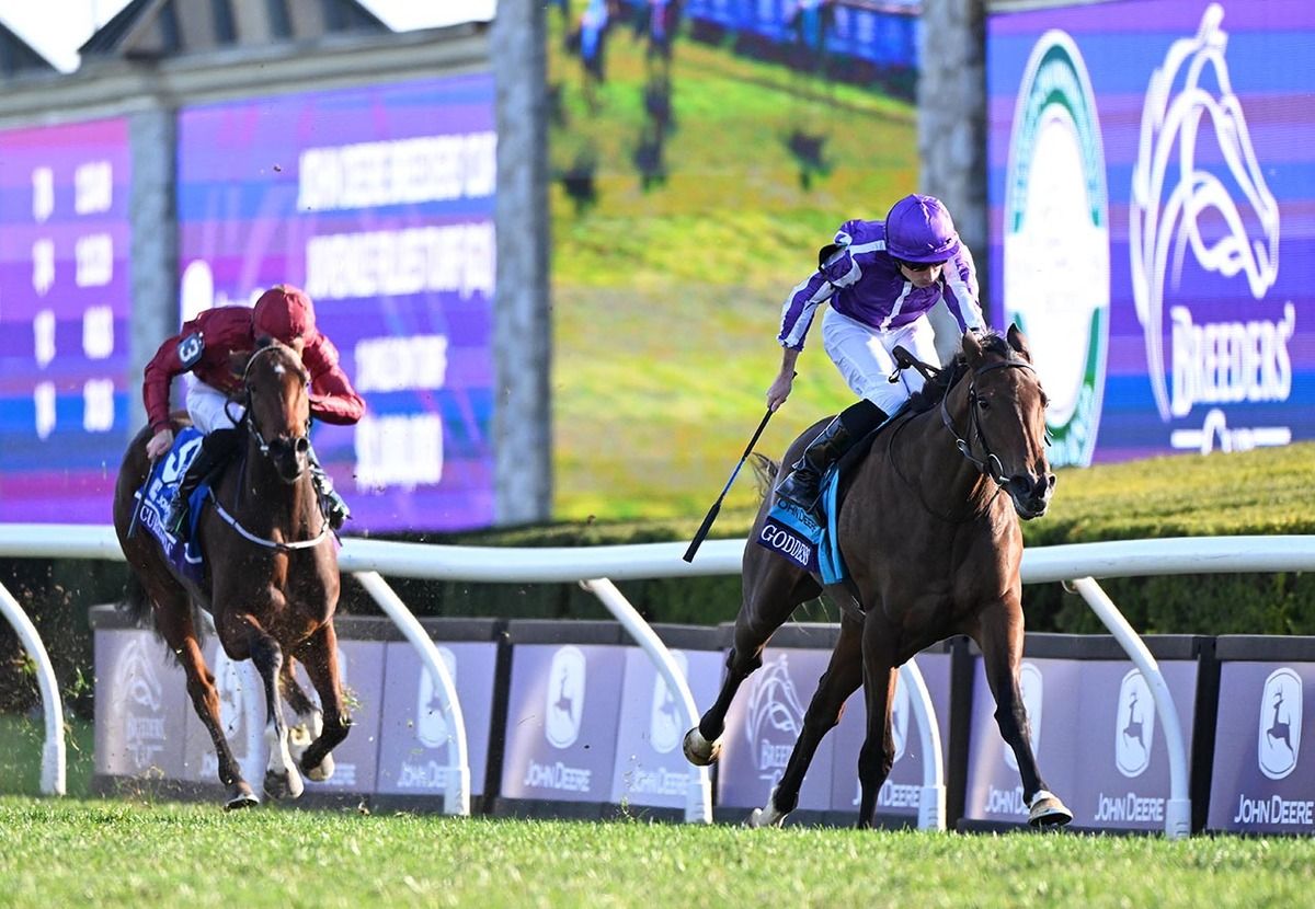 Sun Goddess is clear of eventual third Curracloe