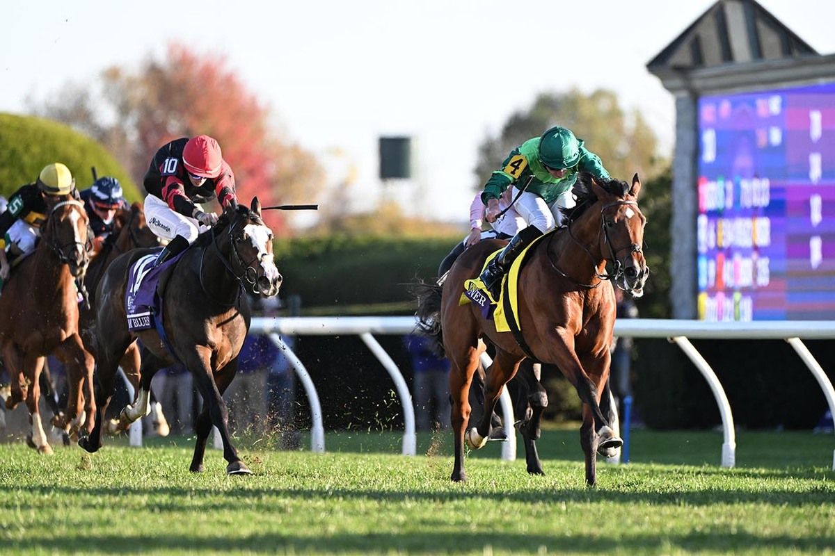 Haffner (green) beats the staying-on Folsom Blues (white face) 