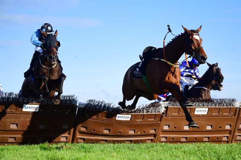 Stuntman Steve and Alix Balfe jump the last along with the loose horse